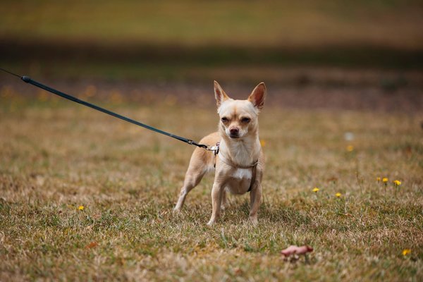 Wie kann man im digitalen Handel die Kundenbindung stärken?